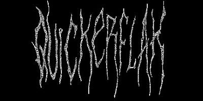 快闪|官方中文|支持手柄|QUICKERFLAK